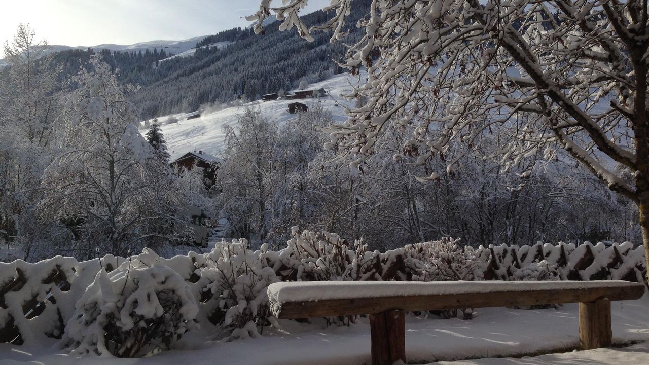Im "Wintergarten" vor App. Konny Im "Wintergarten" vor App. Konny